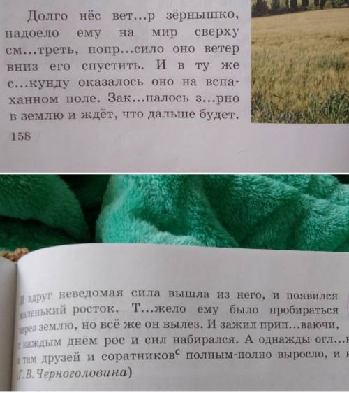 ТЕКСТ ЗАДАНИЯ Запишите 3 числительных по упражнению № 406 А. к слову «друзей» Затем запишите письмен