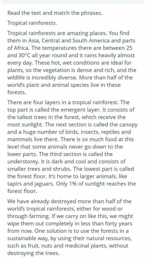 Read the text and match the phrases tropical rainforest ​