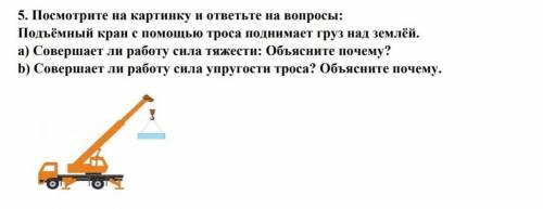 Посмотри на картинку и ответь на вопросы ​