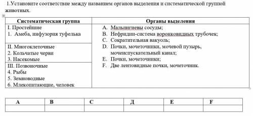 Установите соответствие между названием органов выделения и систематической группой животных.