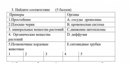 3. Найдите соответствие ( ) Примеры Органы1.Простейшие А. сосуды древесины2.Плоские черви B. кровено