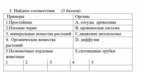 3. Найдите соответствие ( ) Примеры Органы1.Простейшие А. сосуды древесины2.Плоские черви B. кровено