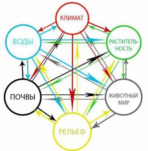 Покажите в схеме взаимосвязь между компонентами, формирующими этот природно-территориальный комплекс