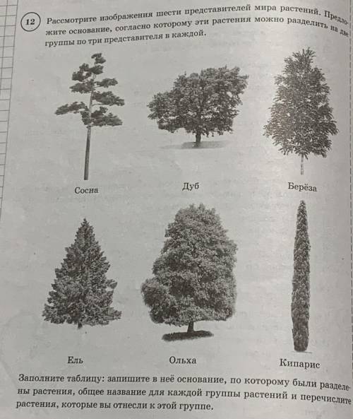 БИОЛОГИЯ 7 КЛАСС! Рассмотрите изображение шести представителе мира растений.