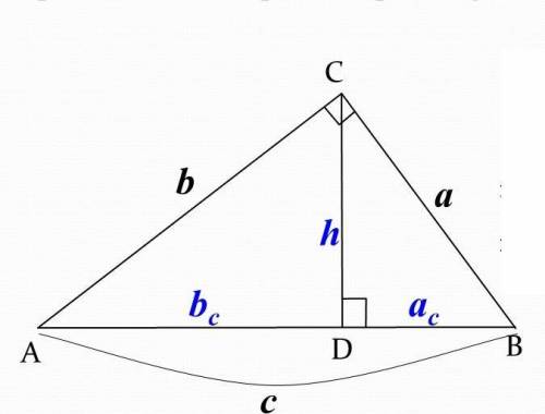 Найти высоту прямоугольного треугольника CD, если BD=16, а AD=25.