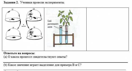 Ученики провели эксперименты. ответьте на вопросы: (а) О каком процессе свидетельствуют опыты? (b)