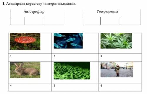 легкое задание Казакстан Тарих, не обманывайте!​