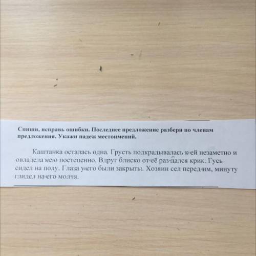 Спиши, исправь ошибки. Последнее предложение разбери по членам предложения. Укажи падеж местоимений.