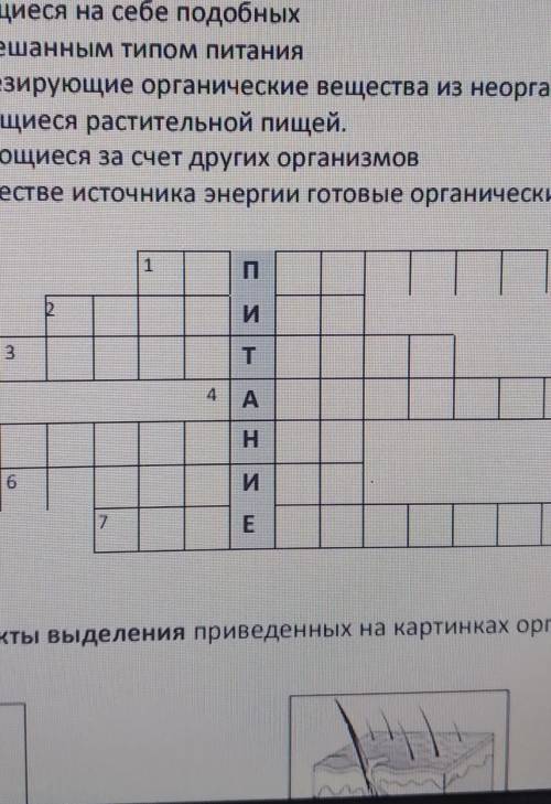 4. Разгадайте кроссворд, определите типы питания организмов ( ) 1. Организмы, питающиеся мертвыми ор