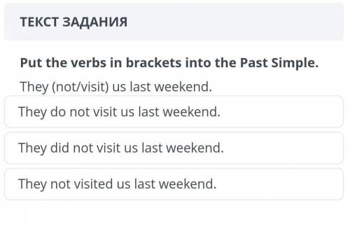 Put the verbs in brackets into the past simple They (not/visit) us last weekend