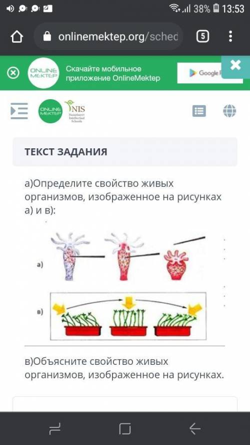 Естествознание, СОР a) определите свойство живых организмов, изображенное на рисунках A и B в) обь