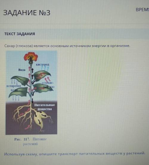 ЗАДАНИЕ No3 ВРЕМТЕКСТ ЗАДАНИЯСахар (глюкоза) является основным источником энергии в организме.​