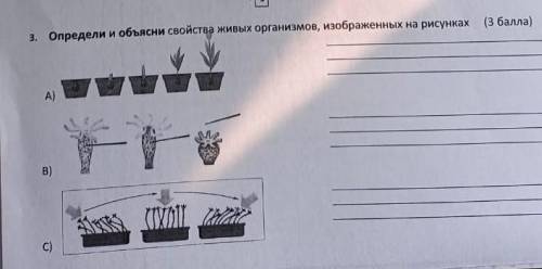 Определи и объясни свойства живых организмов , изображённых на рисунках АВС​