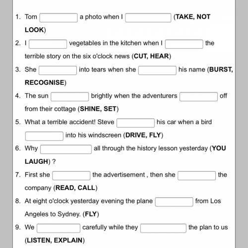 Fill in the correct form of the PAST TENSE (Simple or Progressive)