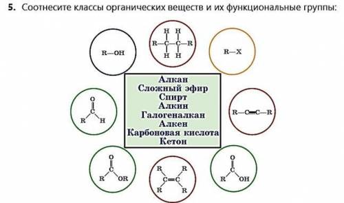 Соотнесите классы органических веществ и их функциональные группы