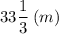 33\dfrac{1}{3} \: (m)