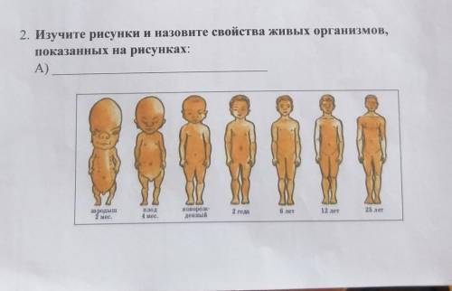 2. Изучите рисунки и назовите свойства живых организмов, показанных на рисунках: A)Б) B) Расскажите