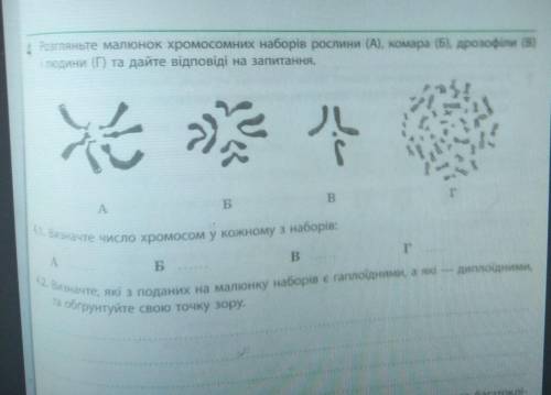 Визначте якi з поданих на малюнку наборiв есть гаплоiiдними або диплоiiдними. ​