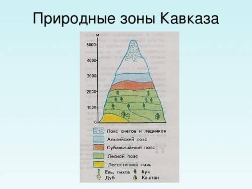 Составьте схему природных зон Кавказа