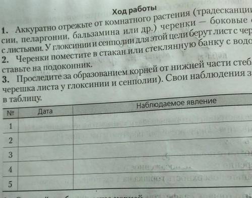 Боковые стебли .Ход работы1. Аккуратно отрежьте от комнатного растения (традесканции, фуксии, пеларг