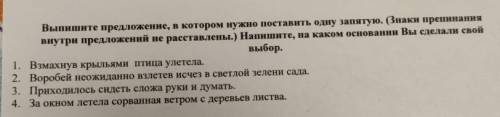 надо! Выпишите предложение, в котором нужно поставить одну запятую. (Знаки препинаниявнутри предложе