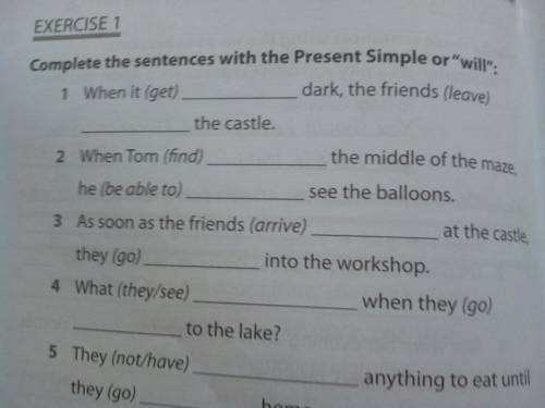 1. Complete the sentences with present simple or will 2.Choose the correct relative pronoun