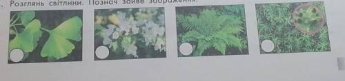 Розглянь світлини. Познач зайве зображення. Й обгрунтуй свiй вибiр​