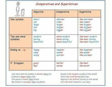 2 Make sentences using the correct form of the word given.1 Carla's hair is very long. Cleo's hair i