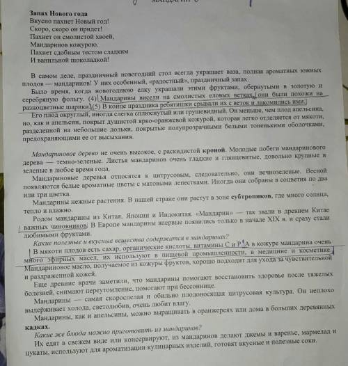 1. Найти в тексте существительные 3 склонения. 2. Отметь словами текста, как можно выращивать мандар