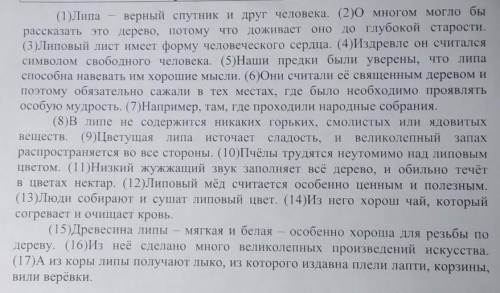 Составь и запиши план текста из трёх пунктов. В ответе ты можешь использовать сочетания слов или пре