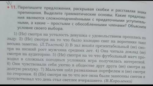 Перепишите предложения раскрывая скобки и расставляя знаки препинания . Выделите грамматические осно