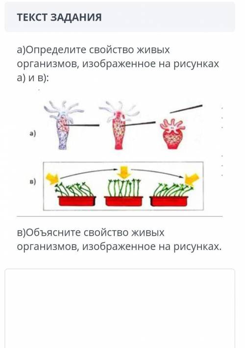 9:19 ТЕКСТ ЗАДАНИЯа)Определите свойство живыхорганизмов, изображенное на рисункаха) и в):один)в)б)Об