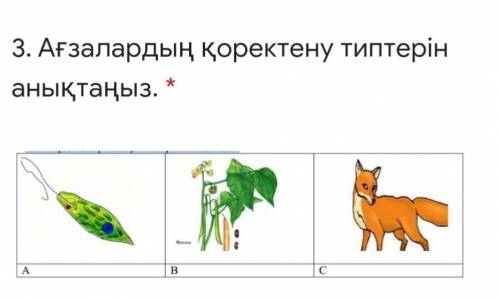 3. Определите типы питания организмов