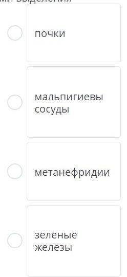 Установите соответствие между организмом и органами выделения ракчервьчерепахабабочка​