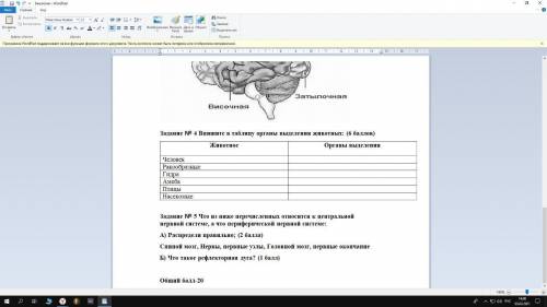 задания Задание № 4 Впишите в таблицу органы выделения животных: ( ) Задание № 5 Что из ниже перечис