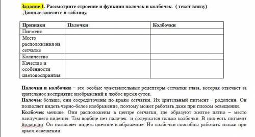 Рассмотрите строение и функции палочек и колбочек. ( текст внизу) Данные занесите в таблицу.