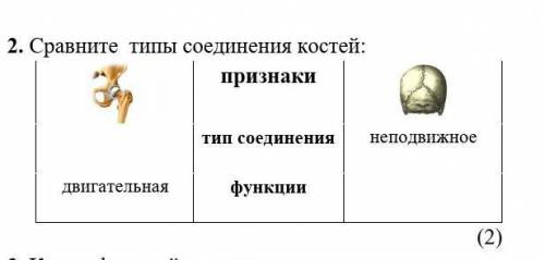 Сравните типы костей:признаки, типы соединения, функции​