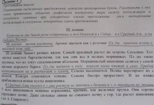 Время выполнение 25 минутGujarate 1Проитайте текст,Перелкиите выделенные предложении, вставляя пропу