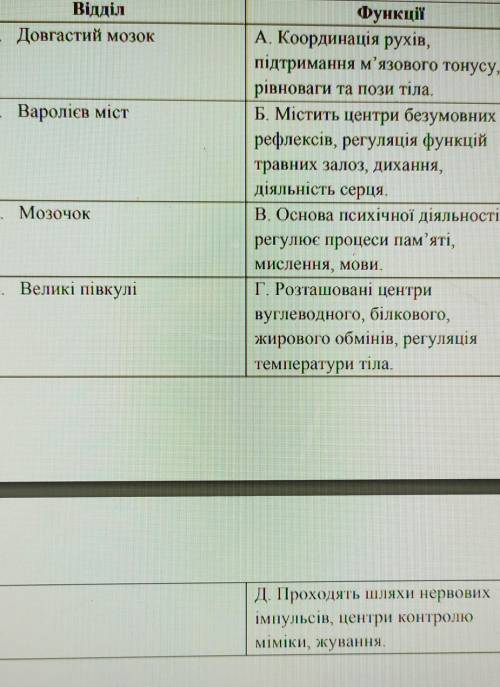 Установіть відповідність між відділами головного та функціями які вони виконують ​