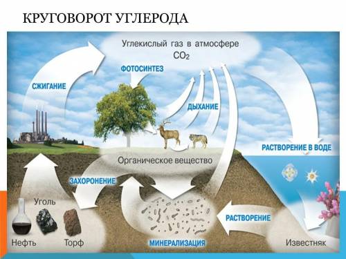 Как называется процесс в природе? (изображенной на картине)