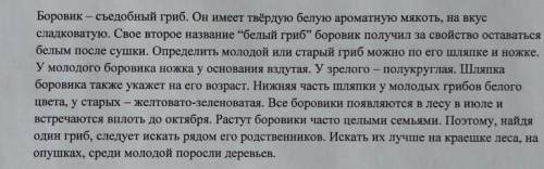 Найдите одно предложение с однородными членами предложения. Подчеркни в предложении однородные члены