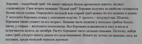 Вы должны найти предложение с однородными членами. Подчеркните однородные члены в предложении ​