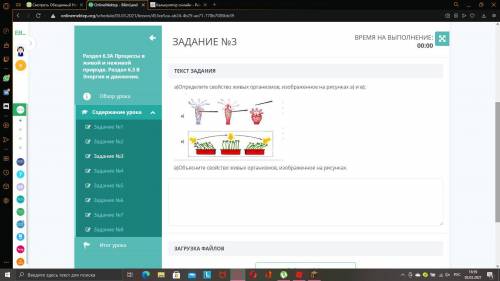 Сор естевствознание 6 класс дам 30б