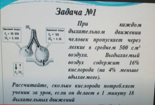 При каждом дыхательном движении человек пропускает через легкие в среднем 500 см3 воздуха. Выдыхаемы