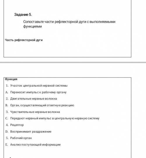 Задание 5. Сопоставьте части рефлекторной дуги с выполняемыми функциями| Часть рефлекторной дугиФунк