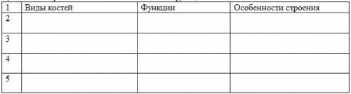 (Опишите строение скелета человека. Какие функции выполняет?