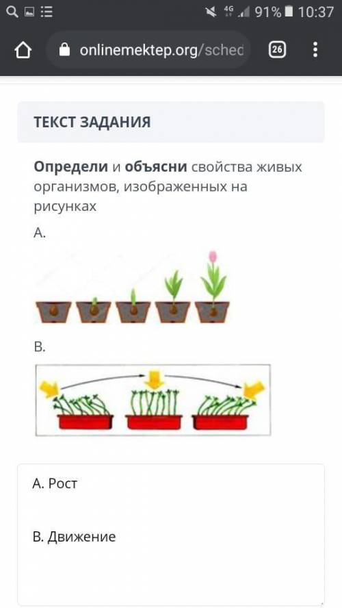 Определи и объясни свойства живых организмов, изображенных на рисунках , у меня СОр,