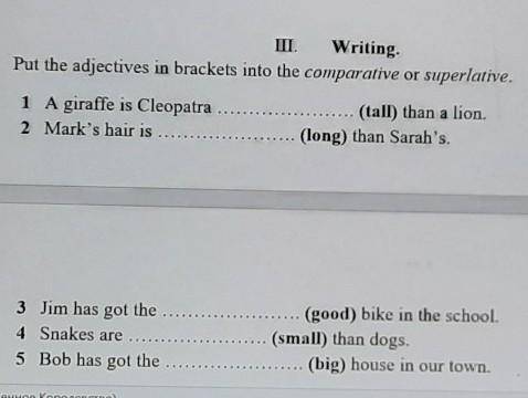 III. Writing.Put the adjectives in brackets into the comparative or superlative.1 A giraffe is Cleop