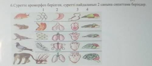 6.Суретте ароморфоз берілген, суретті пайдаланып 2 санына сипаттама беріңдер. 1324​