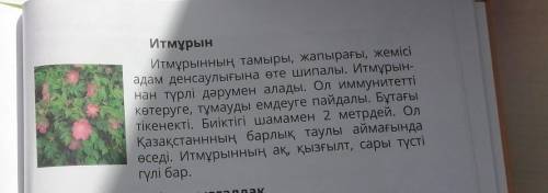 Составить по 2 вопроса на каждый текст​​